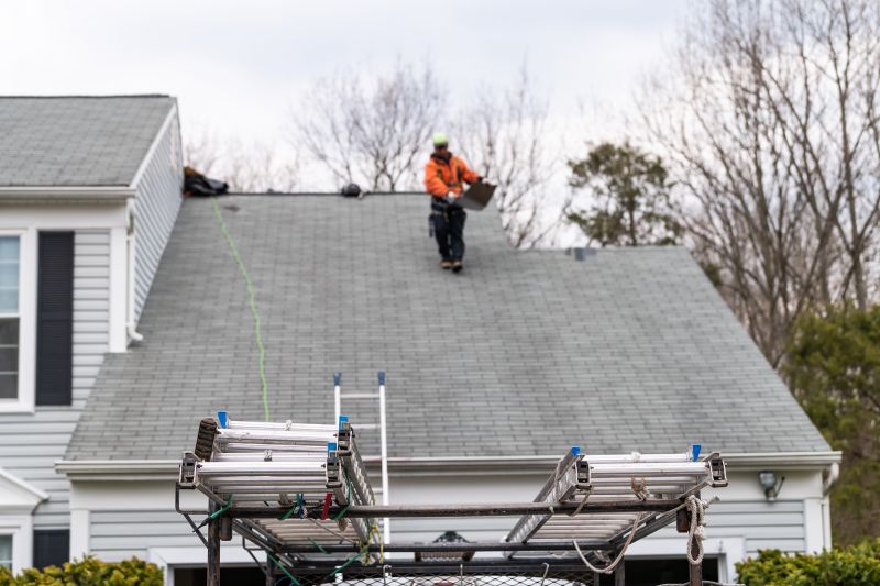 Professional Roofing Team